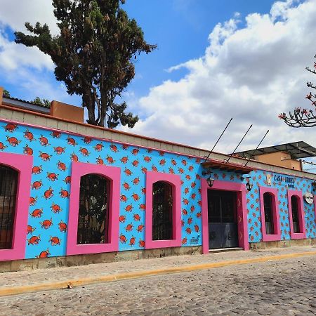 Hotel Casa Arnel Oaxaca Екстериор снимка