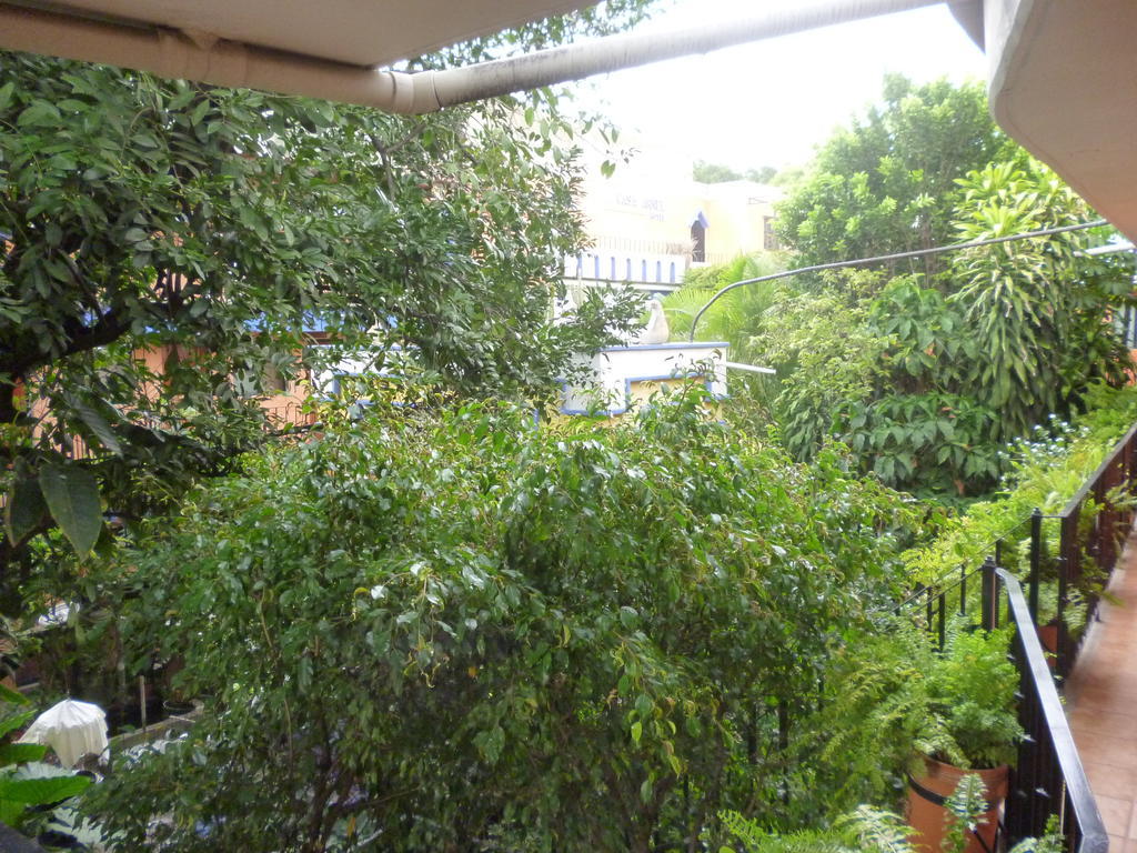 Hotel Casa Arnel Oaxaca Екстериор снимка